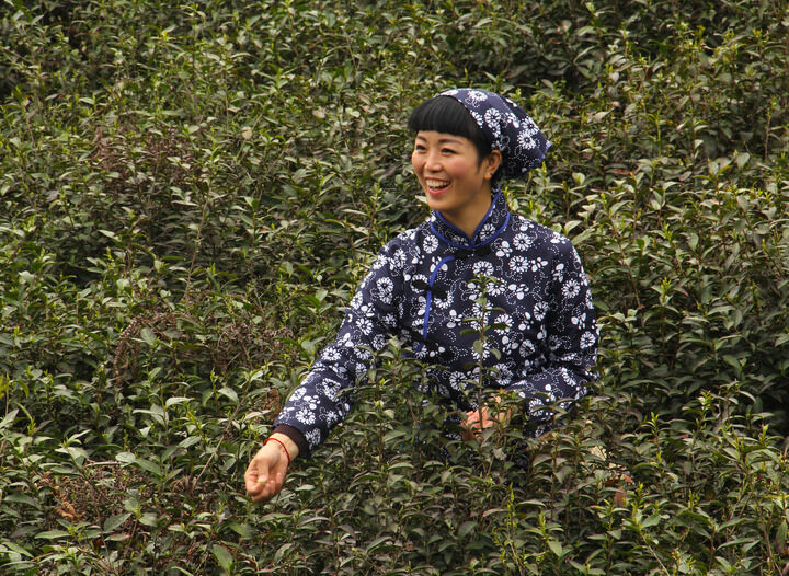 128间房主播跳舞 情欲暗影